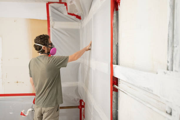 Best Commercial Mold Inspection  in Easley, SC