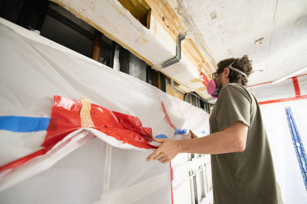Best Black Mold Removal  in Easley, SC