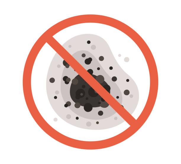 Best Mold Remediation for Healthcare Facilities  in Easley, SC
